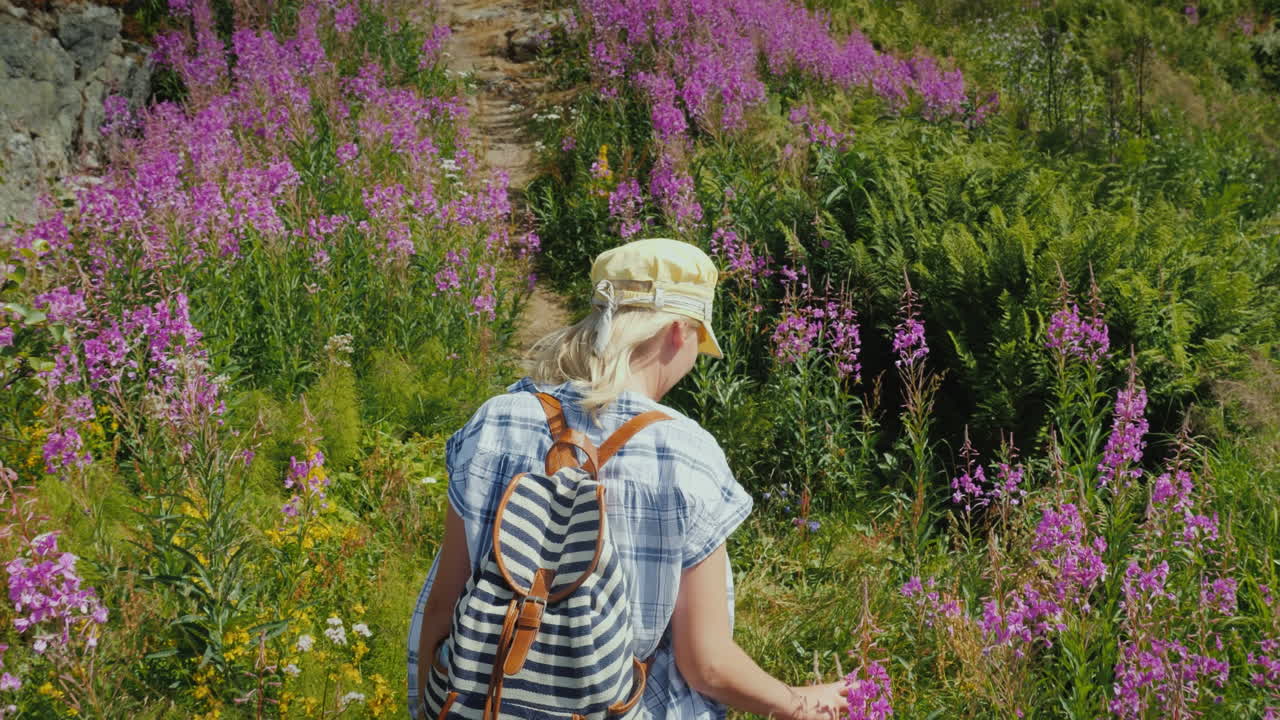 배낭을 메고 있는 한 여성이 여름의 버드나무 차 꽃 사이에서 그림 같은 길을 걷고 있습니다.