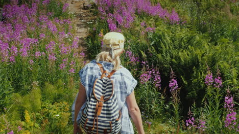 a woman with a backpack walks along a picturesque path among the flowers of willow-tea summer in nor