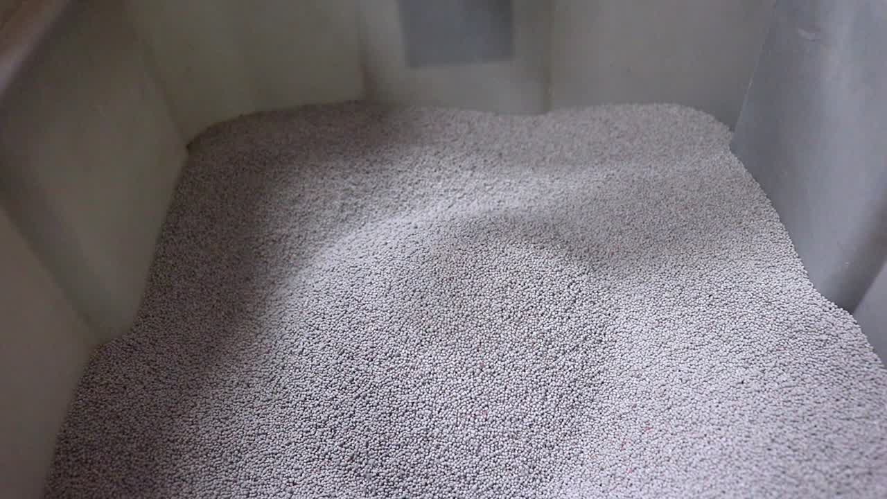 덮개 작물로 사용되는 발란사 클로버 종자 고정, 토양 건강을 증진시키기 위해 농부들에게 종자를 판매하는 중소기업에서 판매