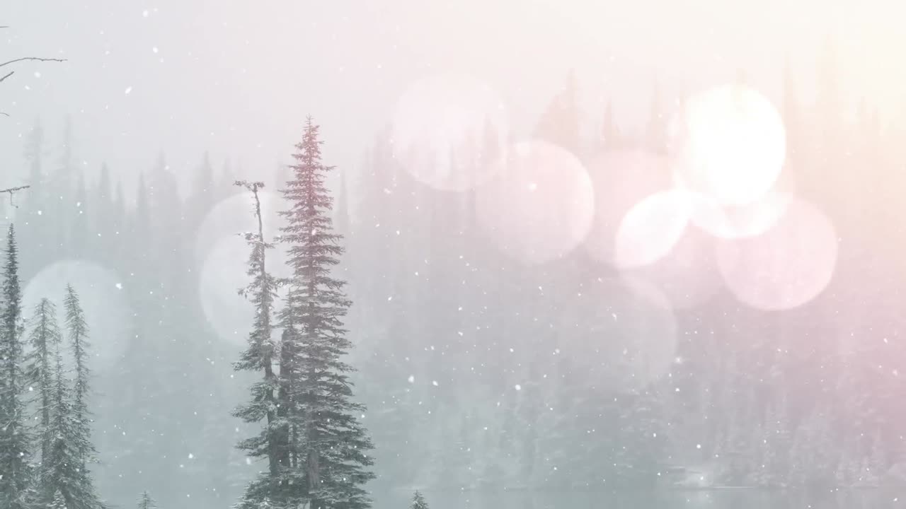 눈이 내리는 곳과 겨울 풍경 위의 빛의 반점의 애니메이션