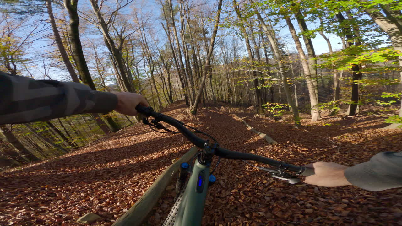 Mountain Biking in Autumn Forest
