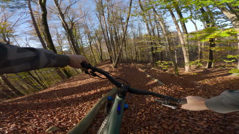 mountain biking in autumn forest