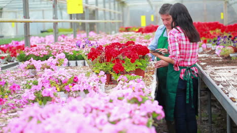 Gardeners-standing-at-the-greenhouse-holding-