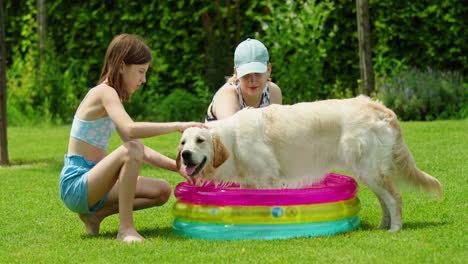 niños y perros jugando en la piscina del patio trasero