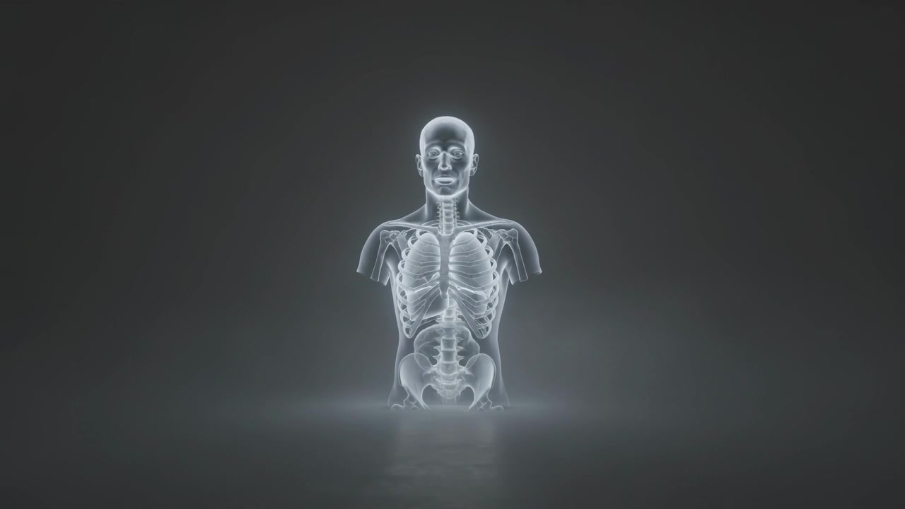 Attivando un torso olografico che pulsa e si inclina in uno studio buio per uno studio di anatomia, mostrando costole, polmoni, colonna vertebrale.