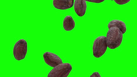 fresh and tasty date fruits food falling on green screen with alpha matte