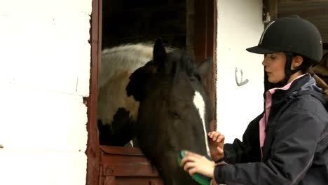 Pretty-brunette-feeding-horse-in-stable