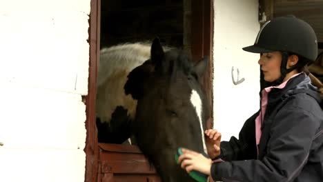 Hübsche-Brünette-Füttert-Pferd-Im-Stall