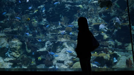 mujer visitando el acuario