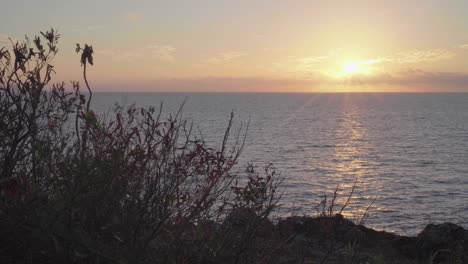 fiji islands - scenic view from shore of the calm ocean and the bright sun setting down at dusk - wide shot