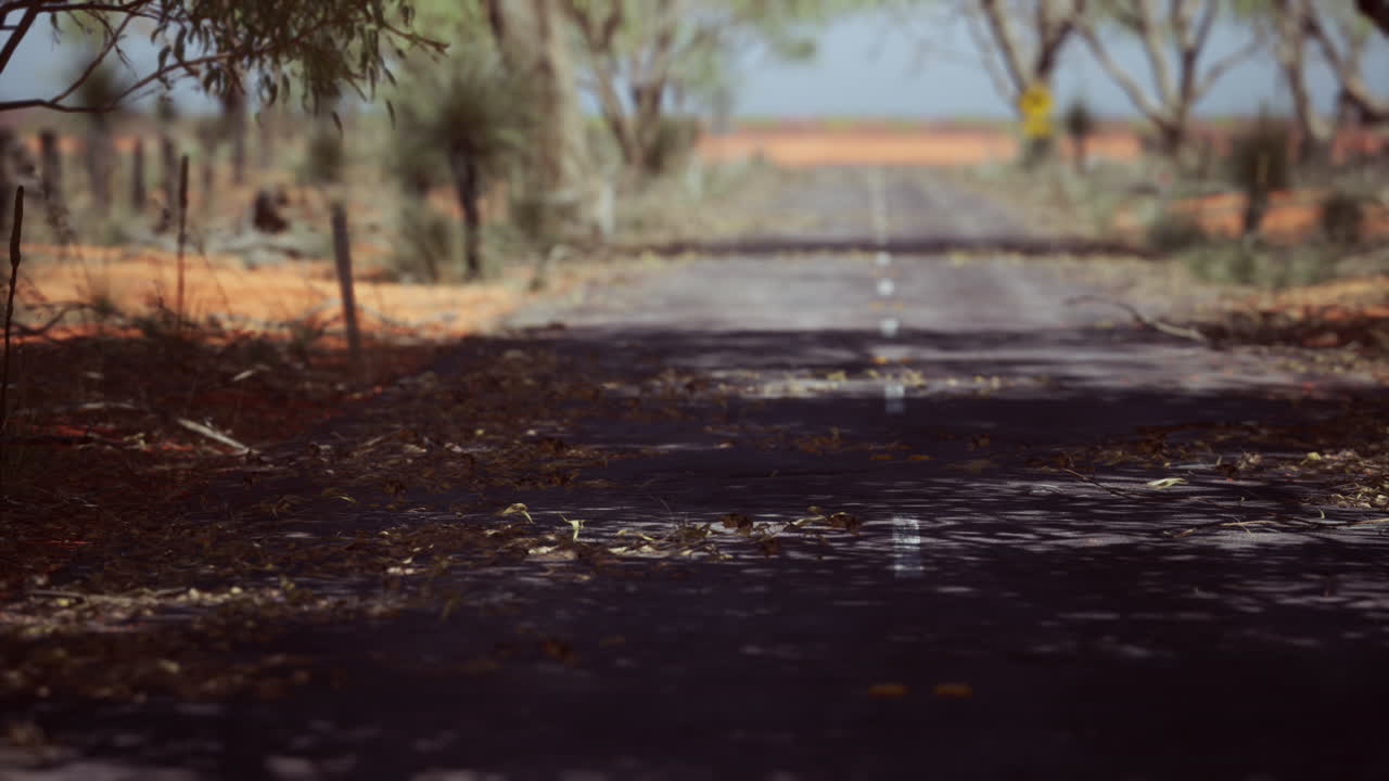 건조 한 풀 과 나무 들 이 있는 외 ⁇  도로