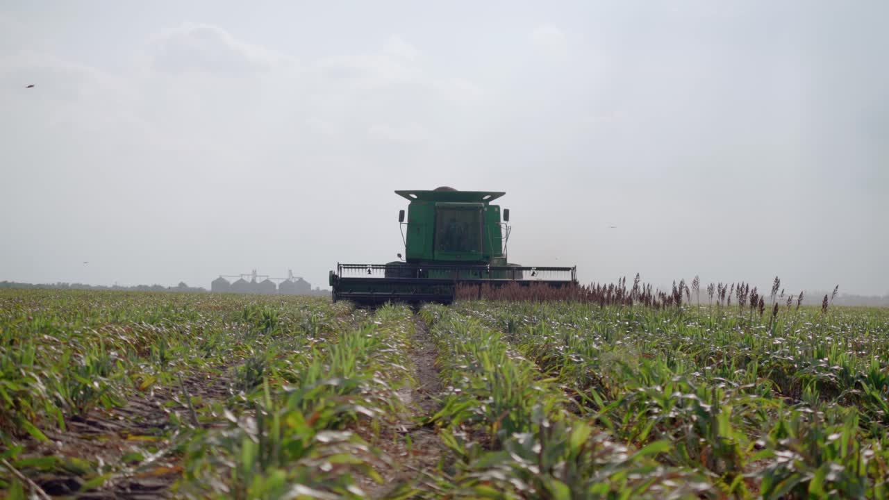 máquina trilladora que trabaja en un campo agrícola se acerca, de mano ancha
