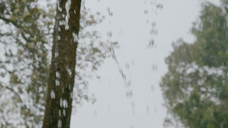 Lluvia muy intensa desbordándose de una canaleta en cámara lenta con árboles de fondo
