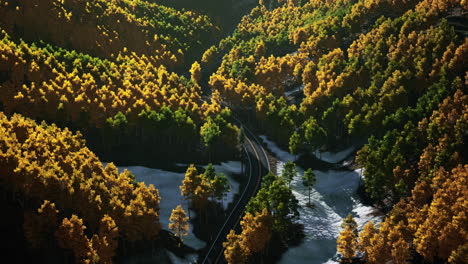 aerial view of winding road through forest in fall