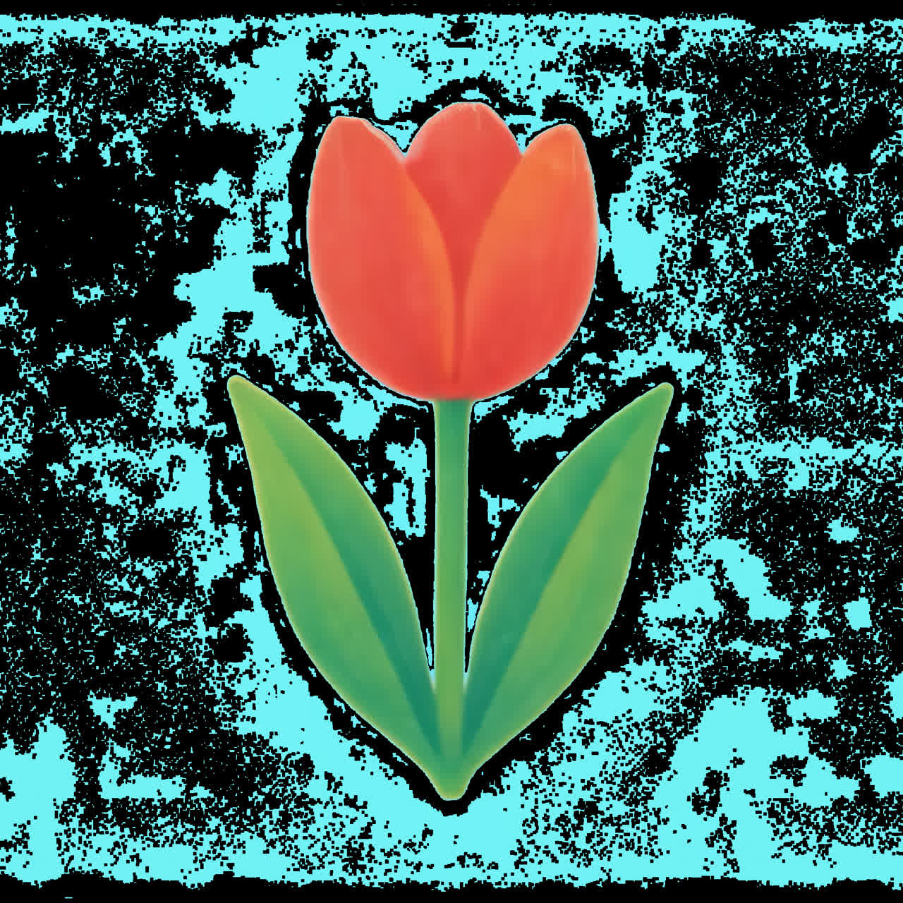 Vibrant tulip animation isolated asset, transparent 4K video, alpha channel, ProRes 4444