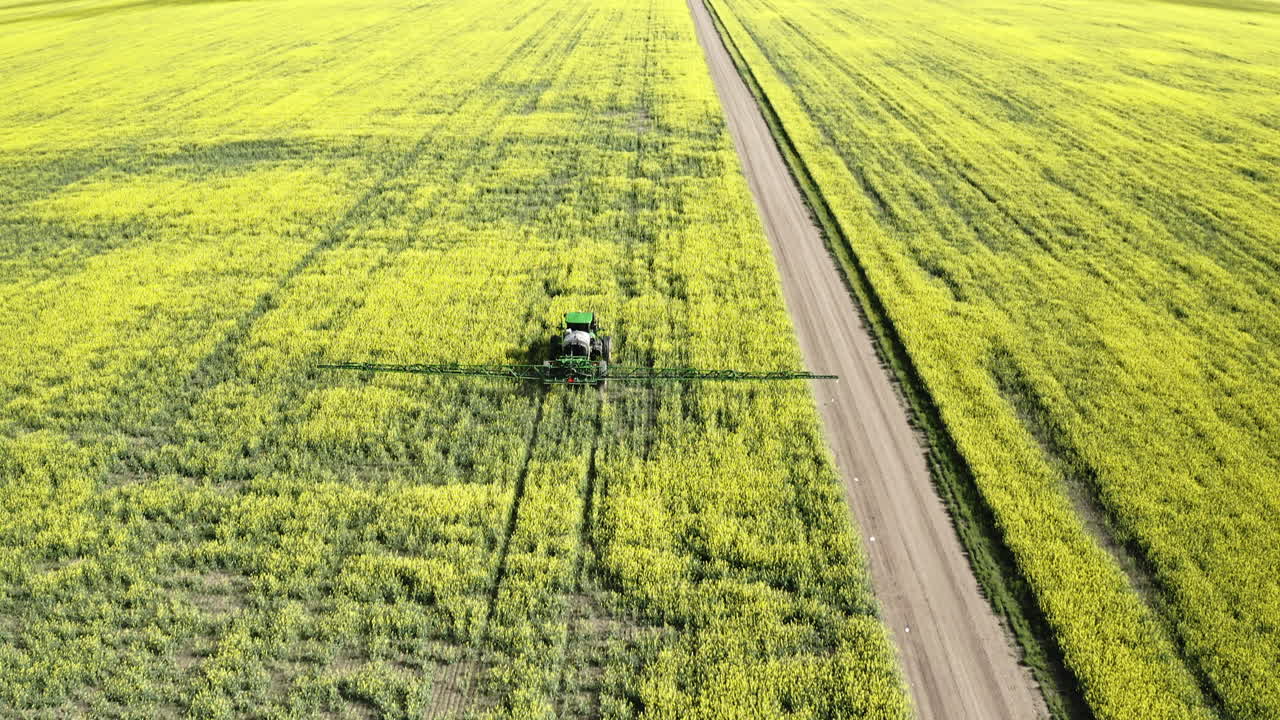 캐나다 서스캐처원의 아름다운 노란색 카놀라 밭에 살포하는 농업용 트랙터