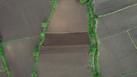 aerial view of farmland with tractor and people