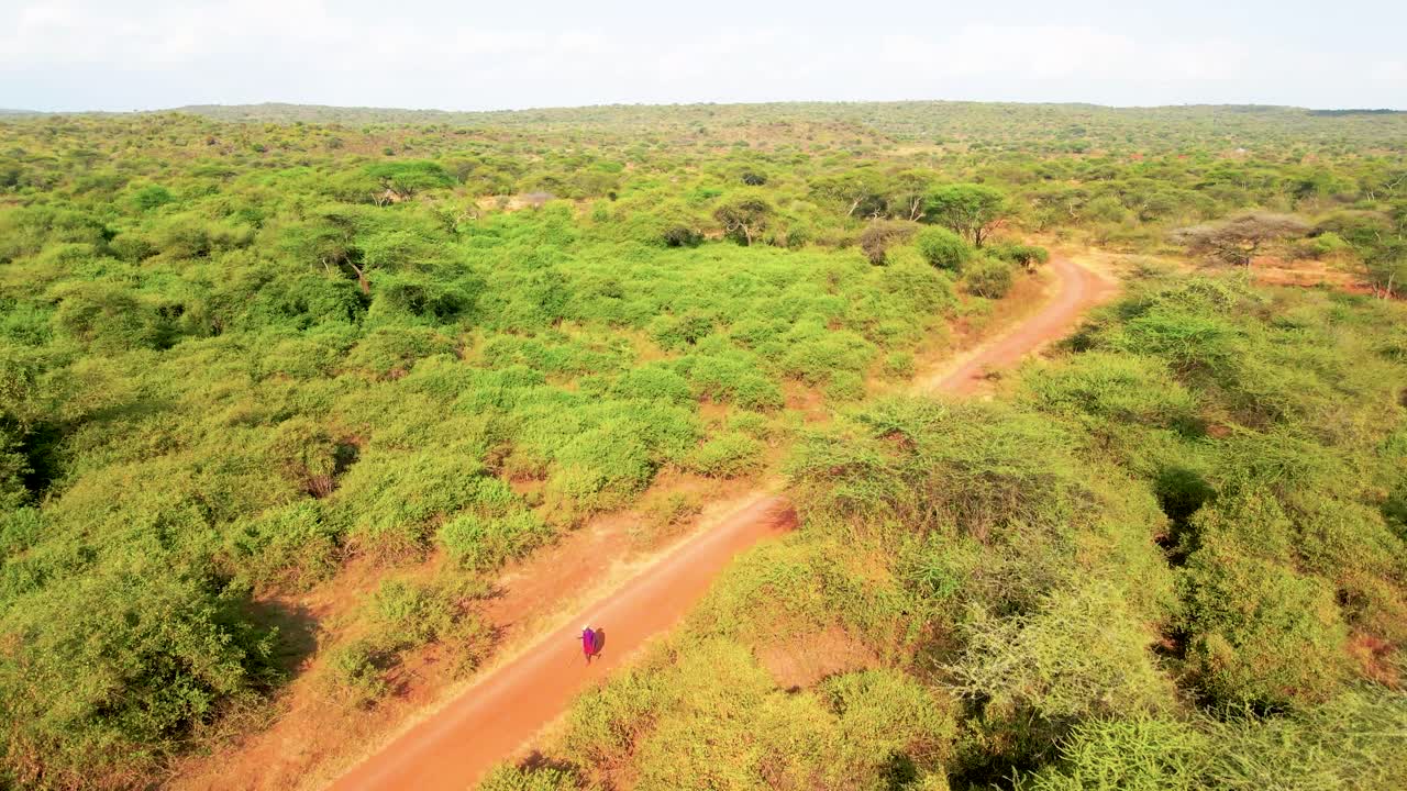 Veduta aerea con drone di una strada sterrata rossa e polverosa che attraversa boscaglia incontaminata e paesaggio naturale di savana a Kajiado, Kenya