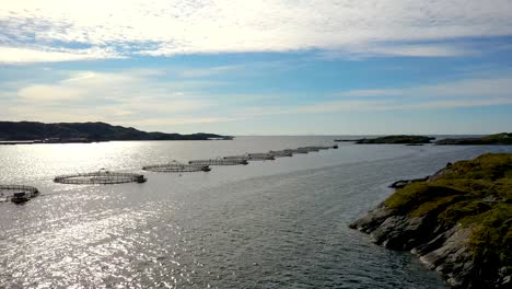 aerial footage farm salmon fishing in norway