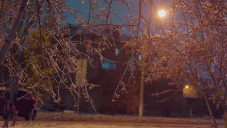 tree branches adorned with frost and red berries sparkle under golden light, with a residential building, blurred streetlights, and a car with headlights on passing by in a serene winter night