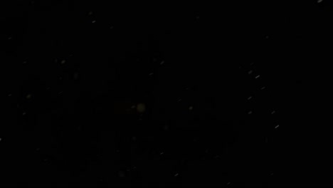 heavy snowfall by night, evening, big snowflakes falling in winter in darkness, black background, copy space