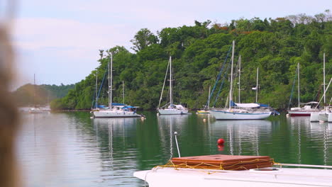 white yachts parked beside a mountain with foreground of rope