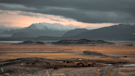 puesta de sol de montaña con caballos en el primer plano timelapse