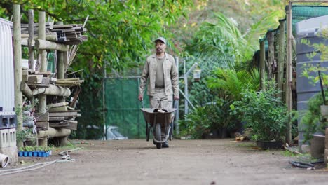 Back-view-of-african-american-male-gardener-walking-with-wheelbarrow-at-garden-center