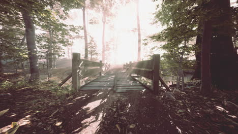 wooden steps in the forest disappeared in the thick fog