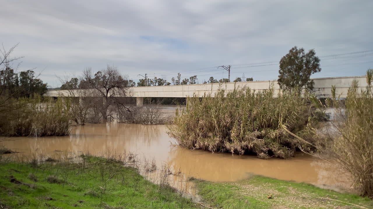 Fiume Guadalquivir a Siviglia durante una piena invernale, con alti livelli d'acqua che sommergono la vegetazione vicino a un ponte sotto un cielo coperto.