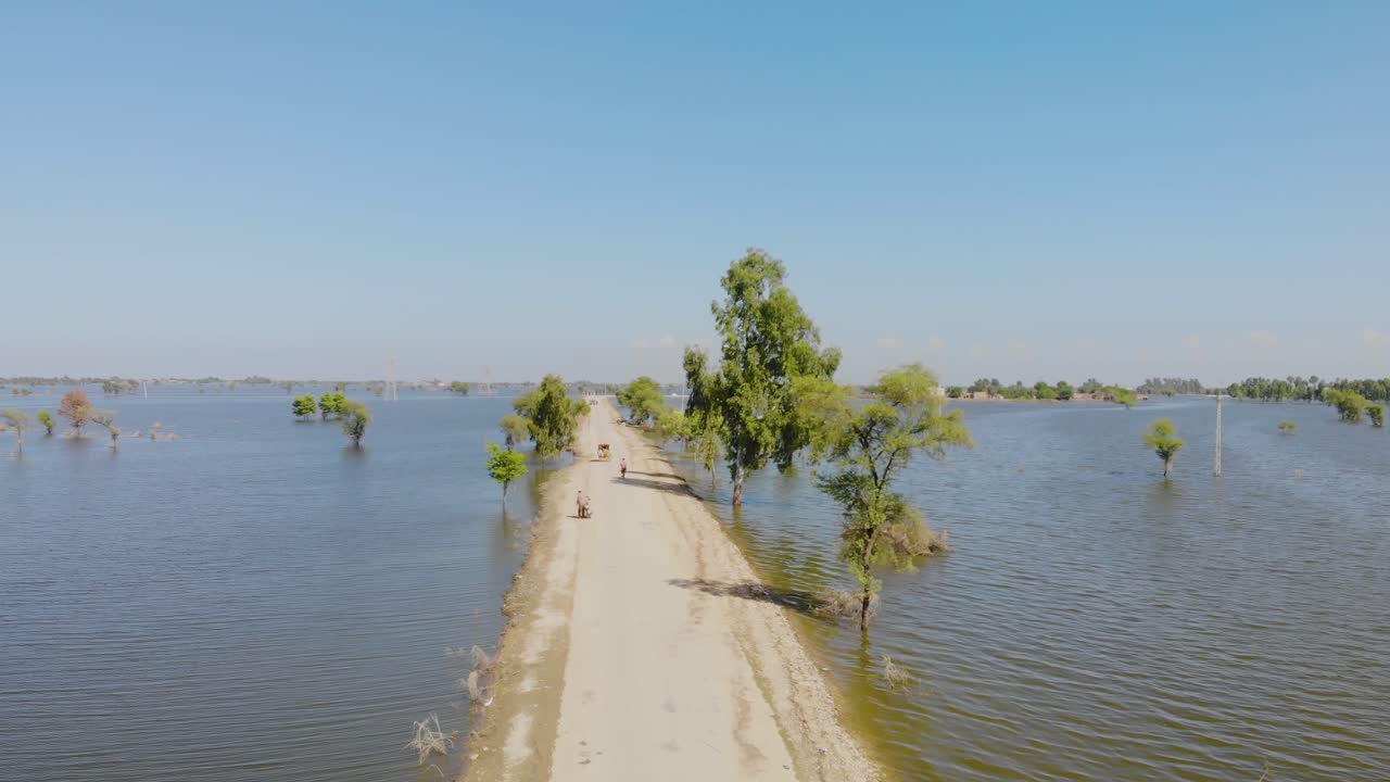 toma aérea ascendente desde una carretera vacía rodeada de aguas inundadas en jacobabad, sindh