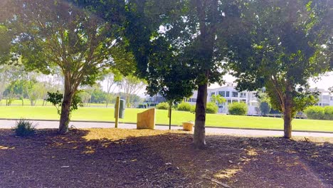 trees and benches in a peaceful park setting