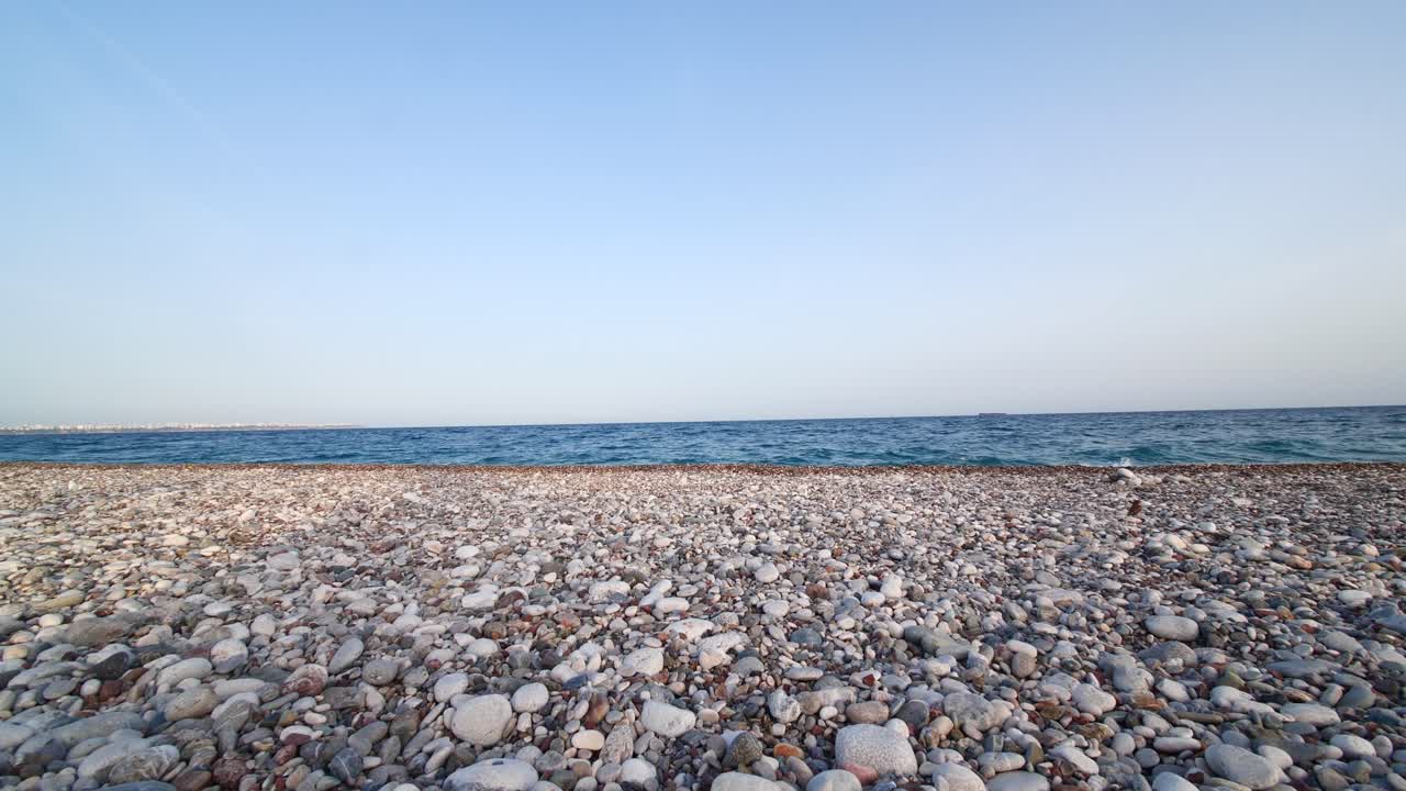 안탈리아 터키 일몰의 조약돌 지중해 해변에 있는 검은 새들