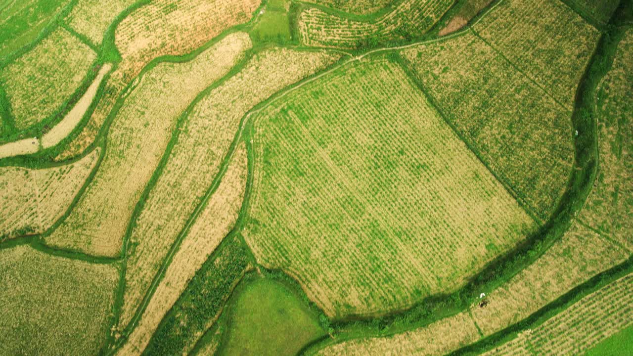 los campos de arroz de patchwork se inclinan para revelar el mágico krast que se balancea verde paisaje montañoso místico con lago