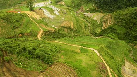 massive valley packed full of lush rice terraces in northern vietnam