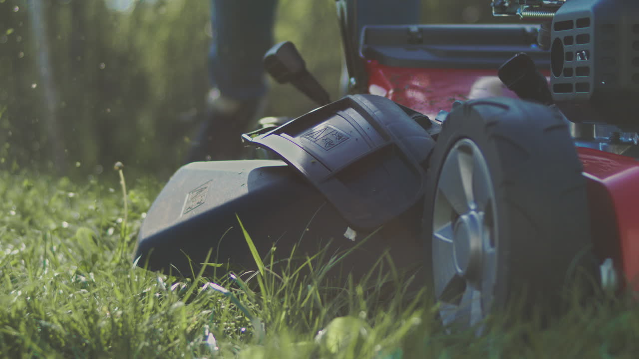 정원에서 잔디기