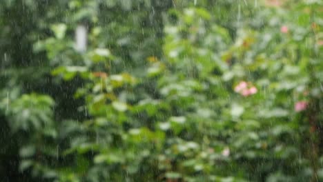 slow motion of heavy rain with blurred garden in the background