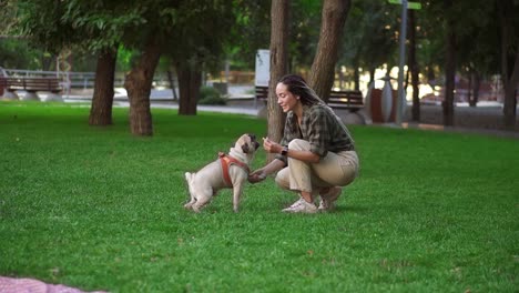 owner feeding pet outdoors, encouraging smart dog for good command execution