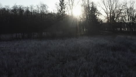 Paisaje-Invernal-Temprano-En-La-Mañana,-Tiro-De-Seguimiento-Sobre-Arbustos-Cubiertos-De-Escarcha-Hacia-Atrás-Fuera-De-La-Oscuridad,-Haces-De-Rayos-Y-Luz-De-Fondo,-Camino,-Muy-Romántico