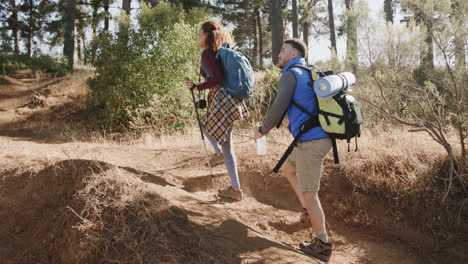 Happy-african-american-couple-hiking-with-trekking-poles-in-forest,-slow-motion