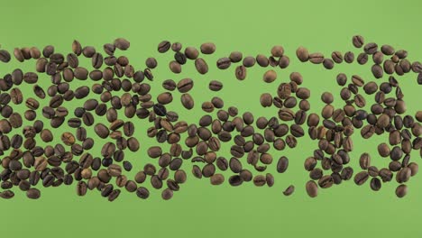 coffee bean stripe isolated on green screen. top view