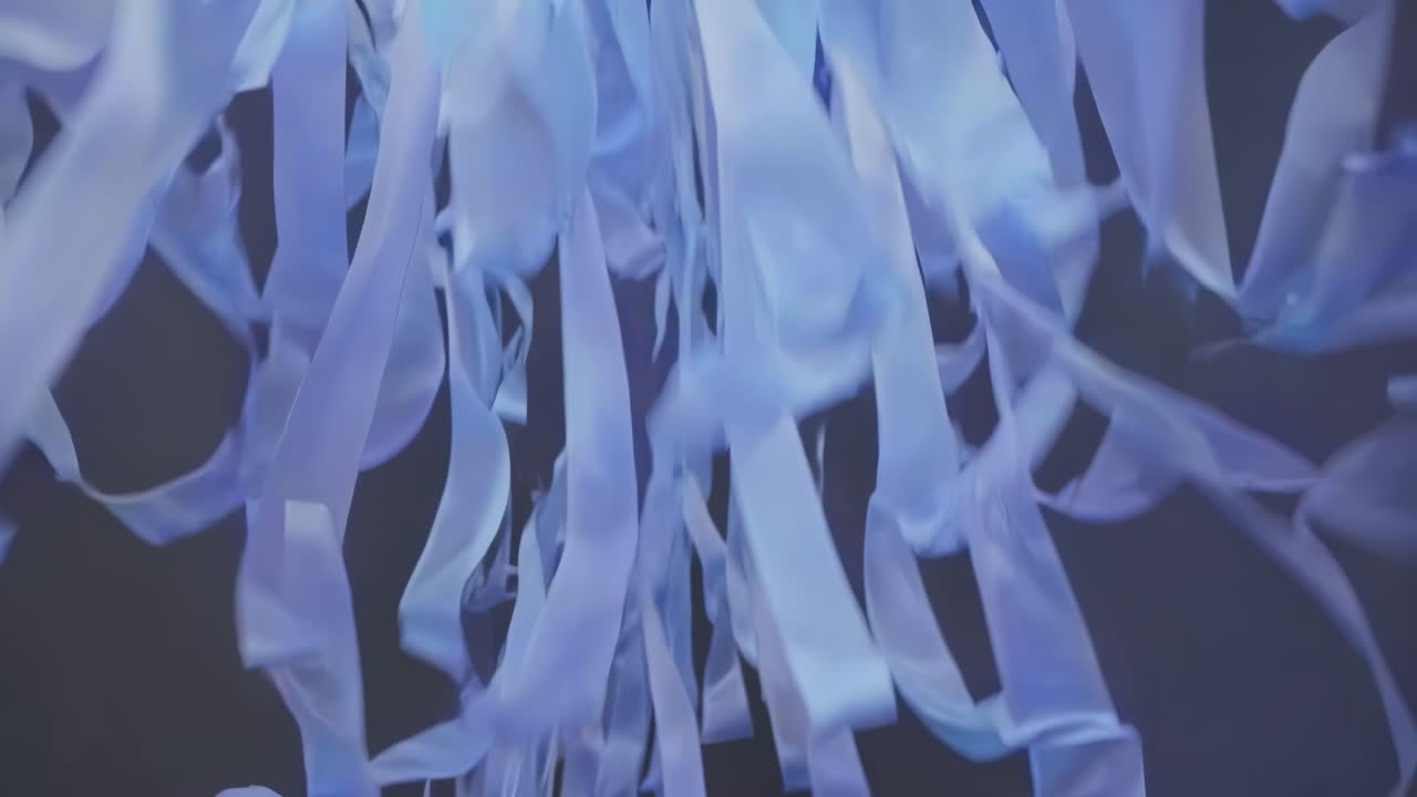 Abstract hanging ribbons