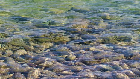 4k 100fps rocks and coral stones in shallow water, waves flowing overtop in crystal clear caribbean ocean