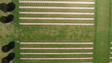 vertical view of a cemetery in verdun ww1. douaumont france