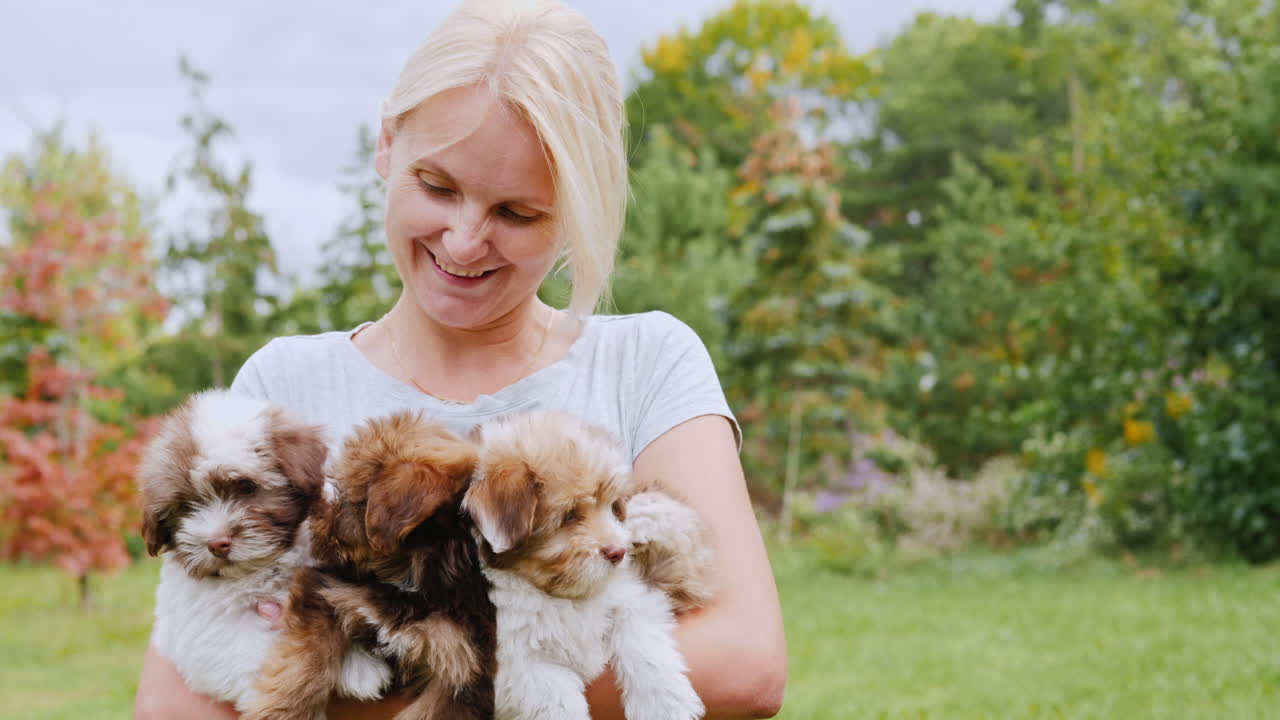 여러 강아지를 들고 여자