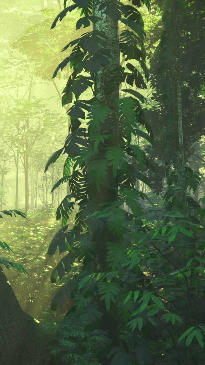 Lush green foliage and tall trees in a dense forest during daylight hours