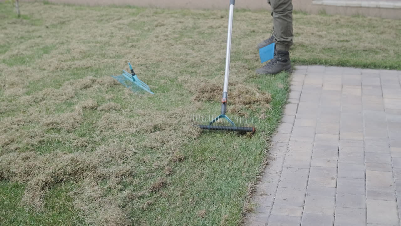 Gardener Raking Dead Grass and Thatch from a Lawn