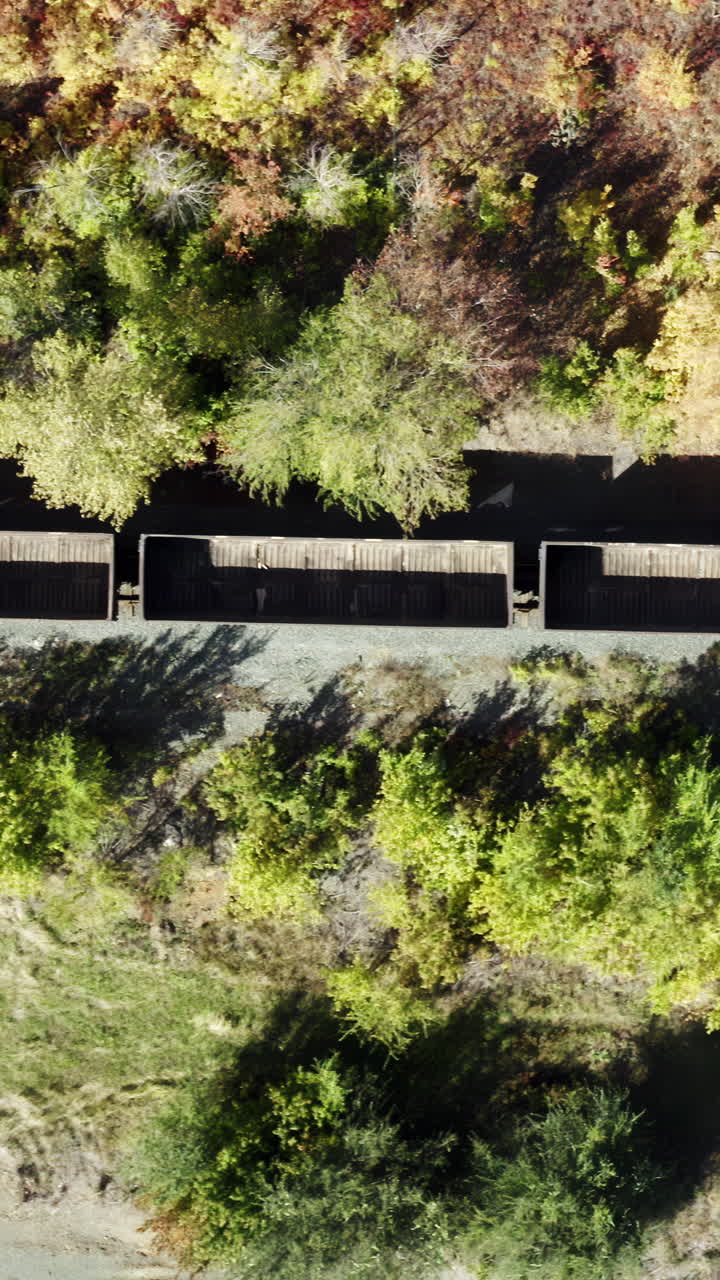 Autumn Foliage and Railroad Tracks from Above