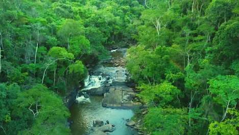 impresionante toma aérea descendente de un increíble río y cascada en un bosque verde salvaje