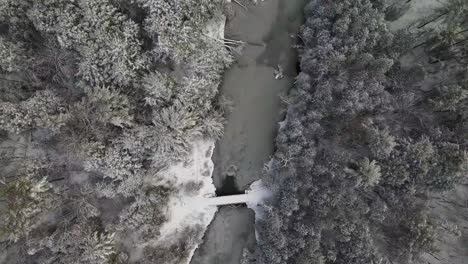 árboles cubiertos de nieve fresca aérea por el río